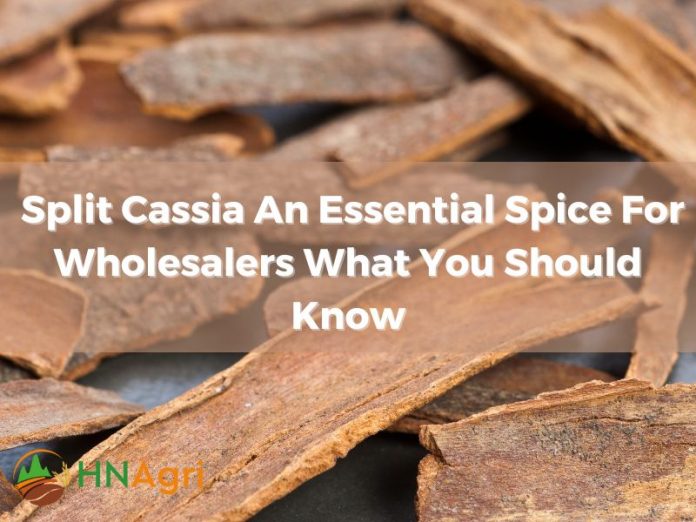 split-cassia-an-essential-spice-for-wholesalers-what-you-should-know