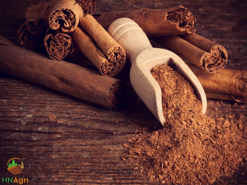 what-we-should-know-about-hanoi-cinnamon-manufacturer-2