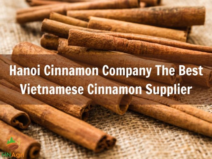 what-we-should-know-about-hanoi-cinnamon-manufacturer