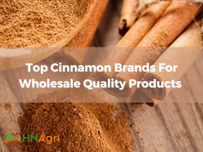 top-cinnamon-brands-for-wholesale-quality-products