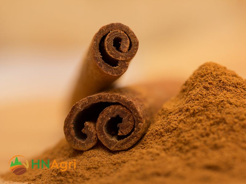 top-cinnamon-brands-for-wholesale-quality-products-2