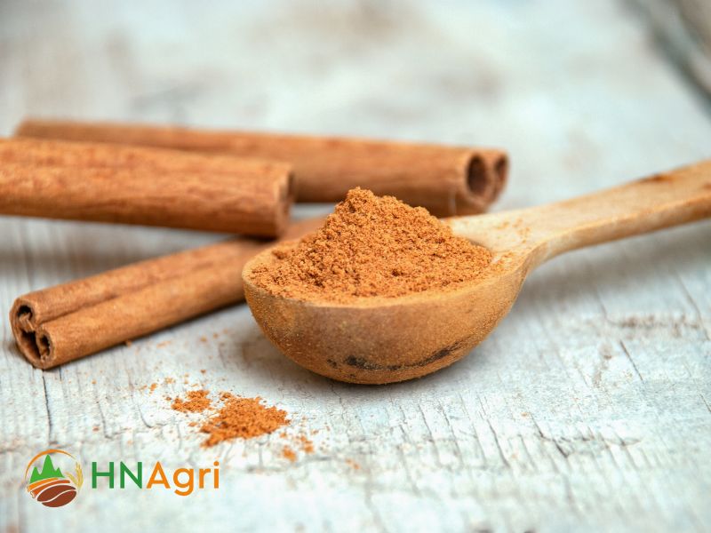 cinnamon-powder-the-epicenter-of-flavor-for-spice-enthusiasts-3